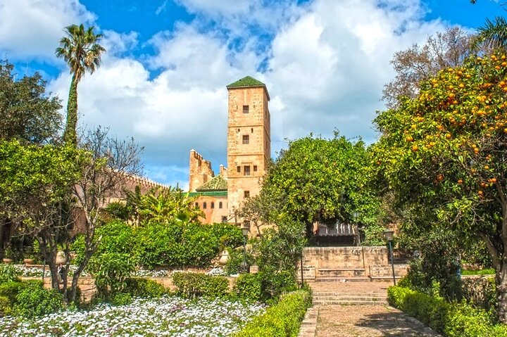 Private tour in rabat city with approved Guide and transport included