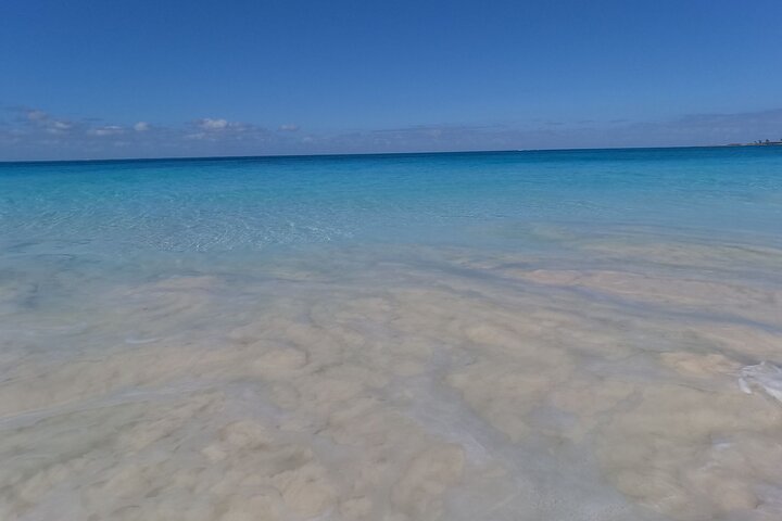 Private Nassau Rose Island Boat Tour Swimming Pigs, Turtles