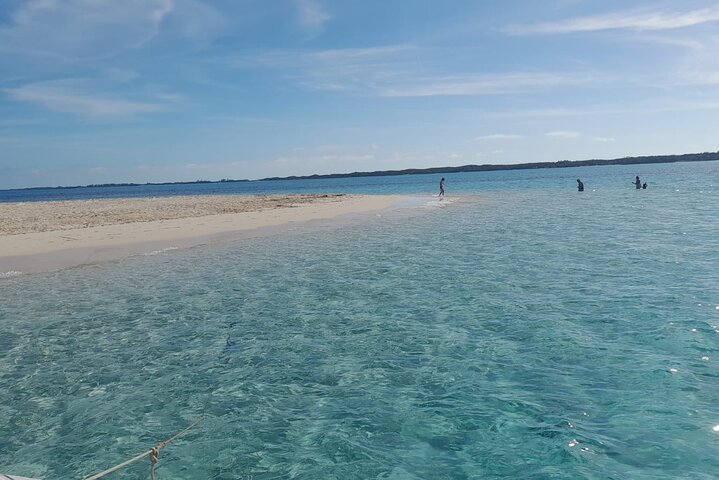 Private Nassau Rose Island Boat Tour Swimming Pigs, Turtles