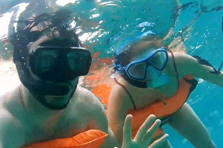 Private Nassau Rose Island Boat Tour Swimming Pigs, Turtles