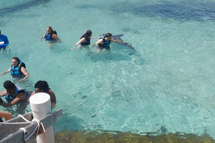 Private Nassau Rose Island Boat Tour Swimming Pigs, Turtles