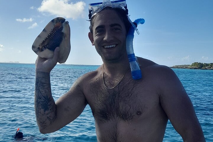 Private Nassau Rose Island Boat Tour Swimming Pigs, Turtles