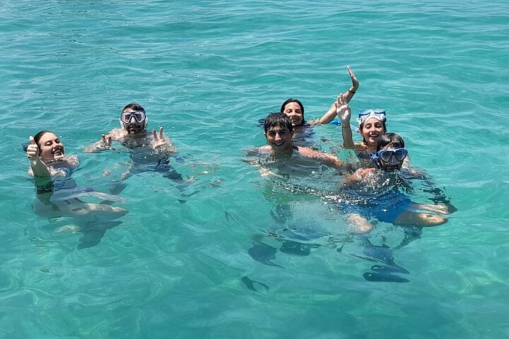 Private Nassau Rose Island Boat Tour Swimming Pigs, Turtles