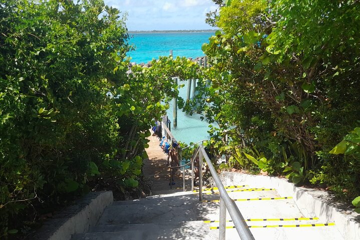 Private Nassau Rose Island Boat Tour Swimming Pigs, Turtles