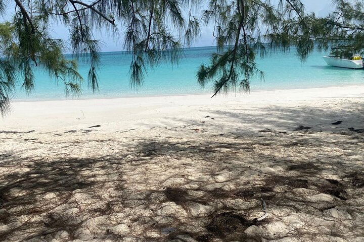 Private Nassau Rose Island Boat Tour Swimming Pigs, Turtles