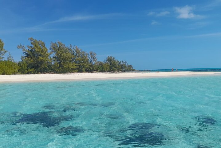 Private Nassau Rose Island Boat Tour Swimming Pigs, Turtles