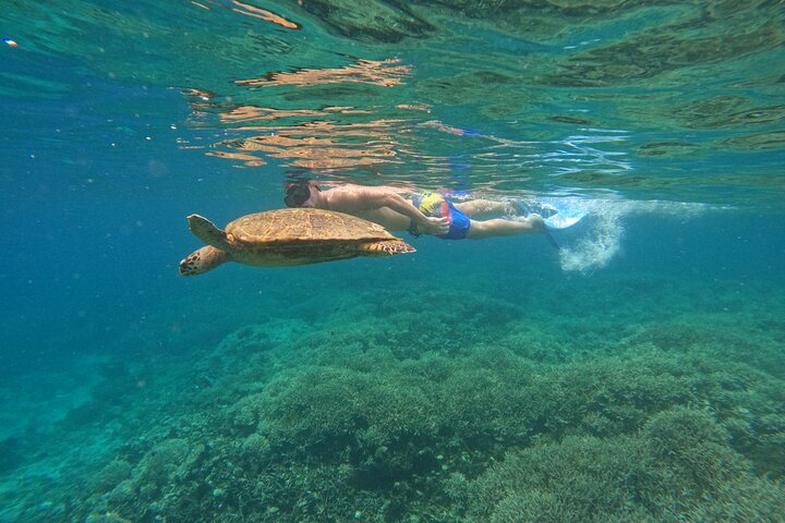 Gili Island Exclusive Private Snorkeling Underwater Escape