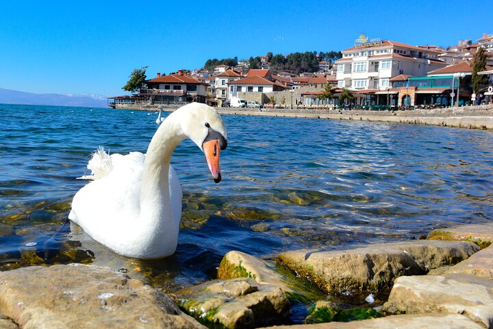 Lake Ohrid in a Day: Group Tour to the UNESCO City from Skopje