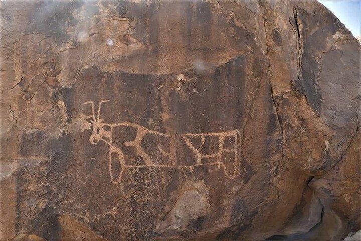 Full day Land of Madian tour with Biblical Sites visit