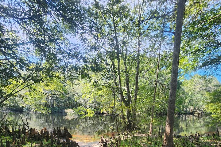 2 Hour Guided Clear Glass Bottom Kayak Tour Gilchrist Blue Spring