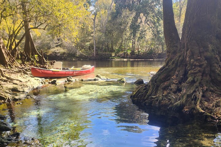 2 Hour Guided Clear Glass Bottom Kayak Tour Gilchrist Blue Spring