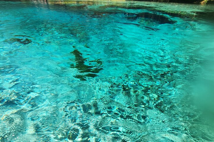 2 Hour Guided Clear Glass Bottom Kayak Tour Gilchrist Blue Spring