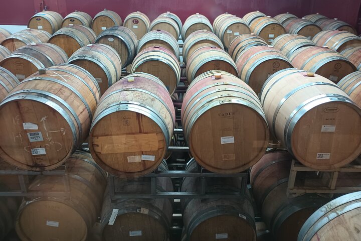 NON-BUS GMC Yukon Traverse Old Mission Wine Tour