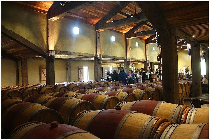 Small Group - Half-Day Hawke's Bay Winery Tour