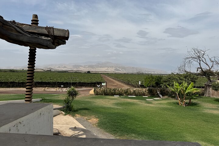 Paracas and Huacachina Exclusive Sunset Picnic Tour