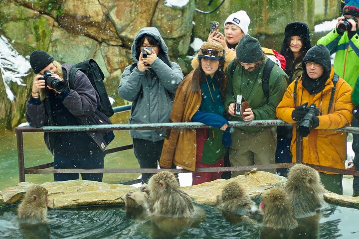 Snow Monkeys, Obuse & Sake: A Perfect Day in Nagano