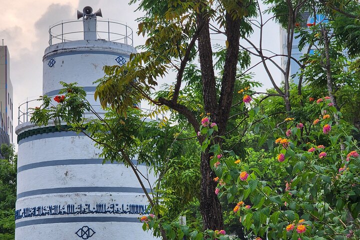 Greater Male Explorer - Private City Tour by Car or by Walking