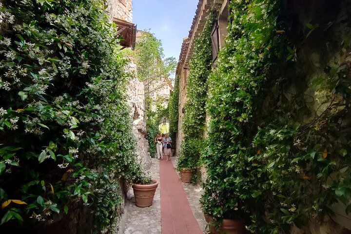 Private shore excursion: Villefranche or Nice to Eze and Monaco