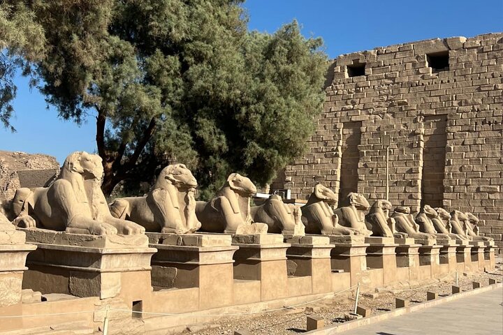 Private Day Trip to Luxor from Marsa Alam and Valley of the Kings