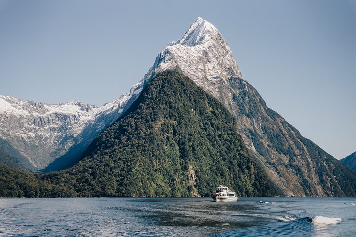 Milford Sound Coach, Cruise and Flight Sightseeing Tour from Queenstown