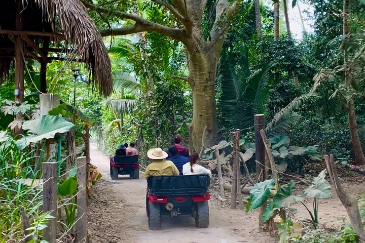 Yelapa Adventure, Los Arcos, Snorkeling and Village Discovery!