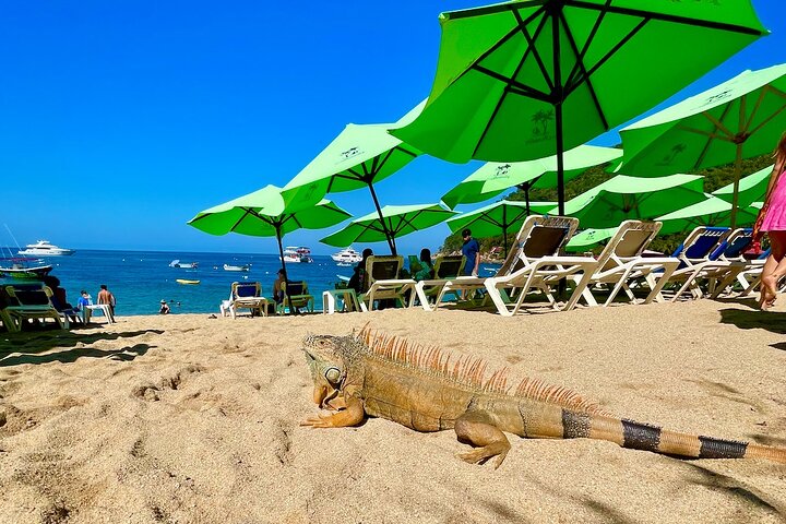 Yelapa Adventure, Los Arcos, Snorkeling and Village Discovery!
