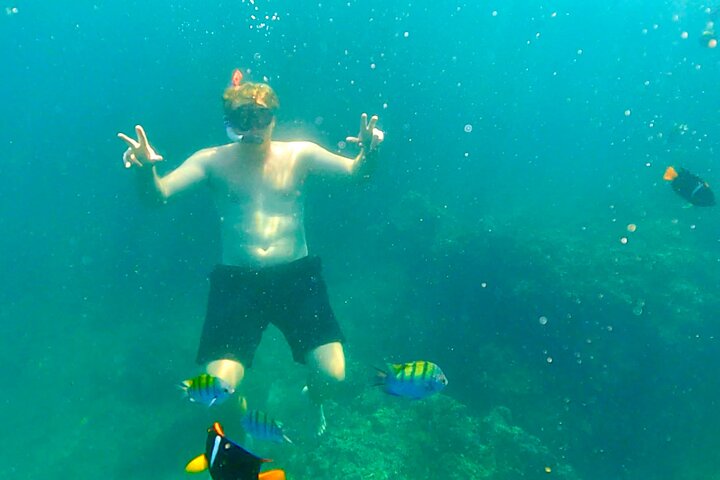 Yelapa Adventure, Los Arcos, Snorkeling and Village Discovery!