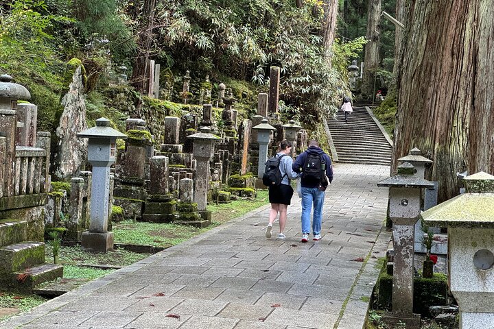 Koyasan: Half-Day Guided Tour - Okuno-in, Kongobuji & Danjo Garan