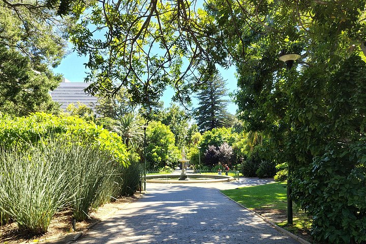 Cape Town City Tour Half-Day