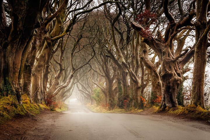 Giants Causeway and Castles from Belfast: Guided Tour