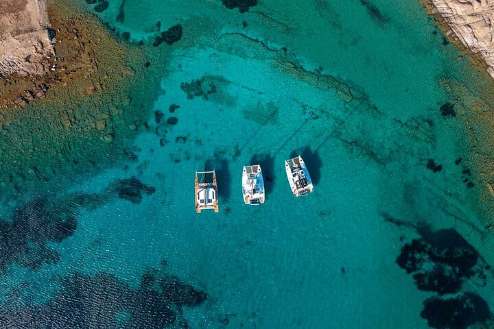 Premium Catamaran Tours, 8-flavor Feast & Drinks, Limited guests!