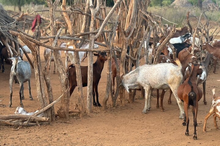 4 Day Omo Valley Tours