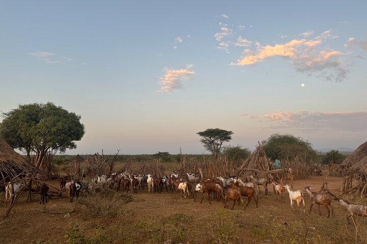 4 Day Omo Valley Tours