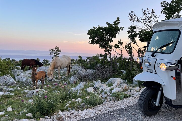 Makarska: Skywalk Tour with a Tuk Tuk - Skip the line ticket