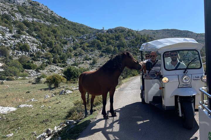 Makarska: Skywalk Tour with a Tuk Tuk - Skip the line ticket