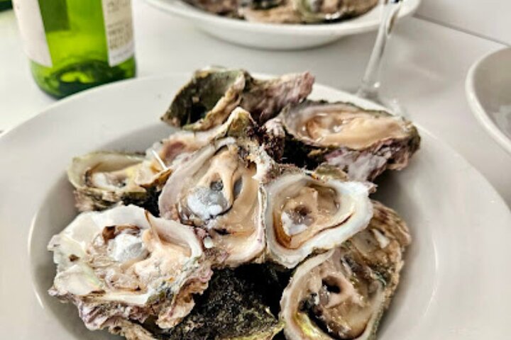 Knysna Oyster Tour