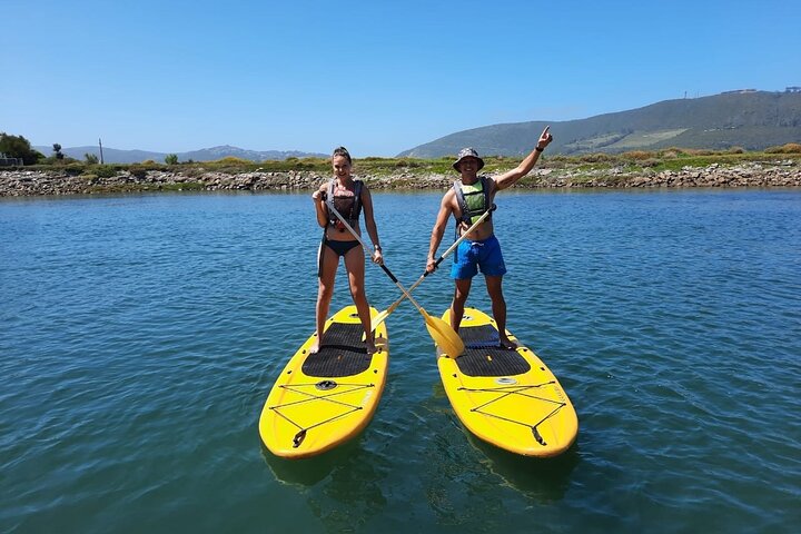 Knysna Kayak (single kayak)