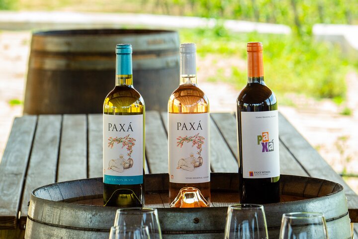 Albufeira Wine Tasting: Boutique Winery Tour & Historic Silves