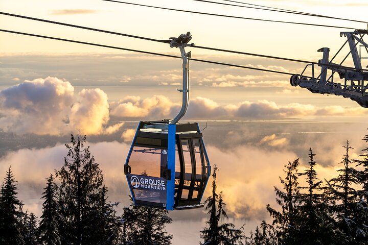 Grouse Mountain Admission Ticket