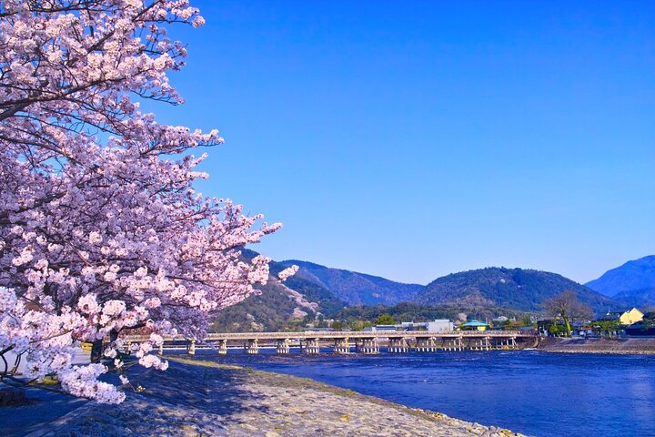 From Kyoto / Osaka: Kyoto Must-see Spots & Nara Park One Day Tour
