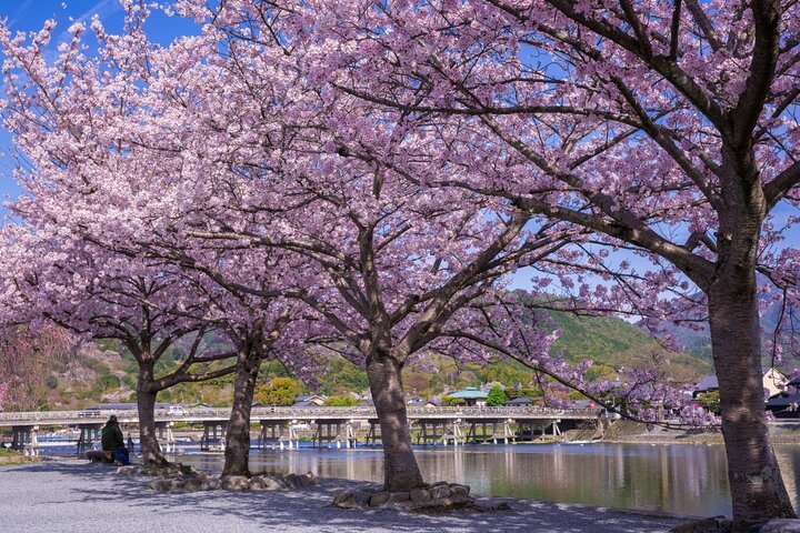 From Kyoto / Osaka: Kyoto Must-see Spots & Nara Park One Day Tour