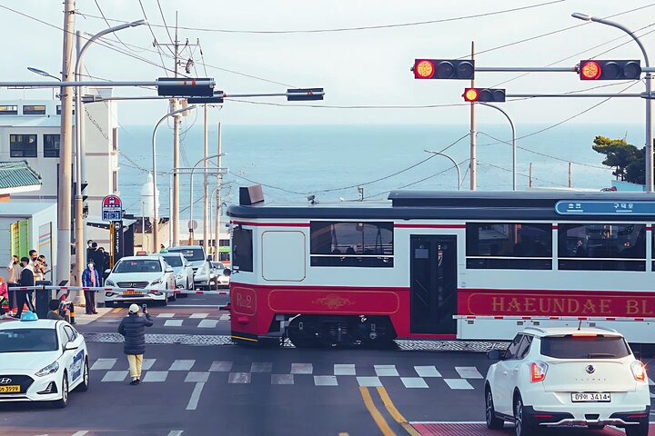 Authentic Busan Full-Day City Highlights Tour