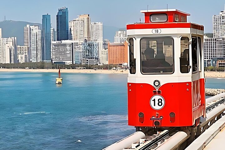 Authentic Busan Full-Day City Highlights Tour