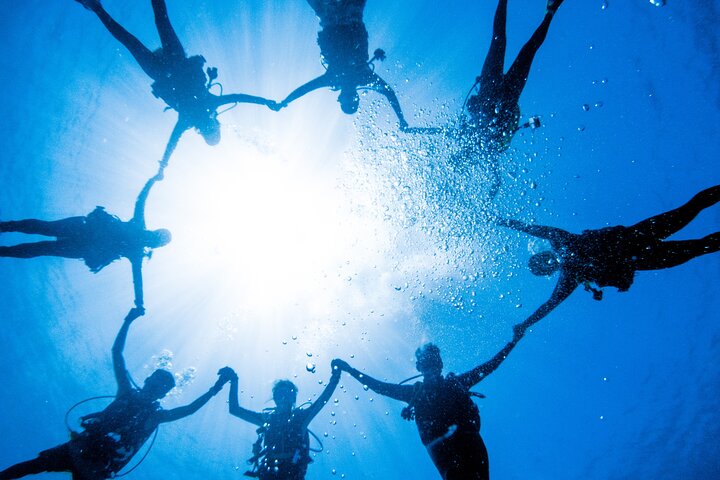 Discover Scuba Diving With Sea Turtles –No certification required