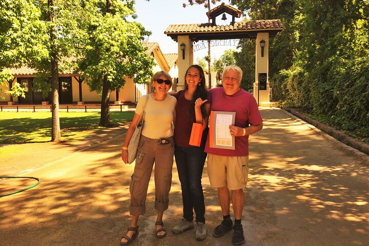 Private Maipo Valley Wine Experience: 2 Premium Wineries & Lunch