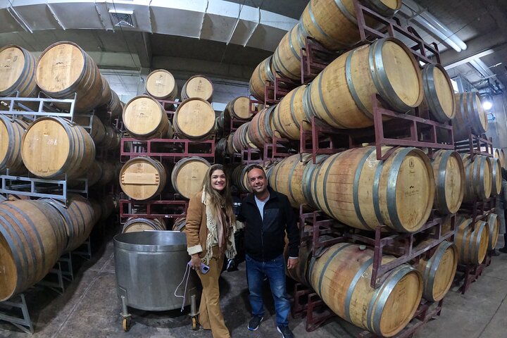 Private Maipo Valley Wine Experience: 2 Premium Wineries & Lunch