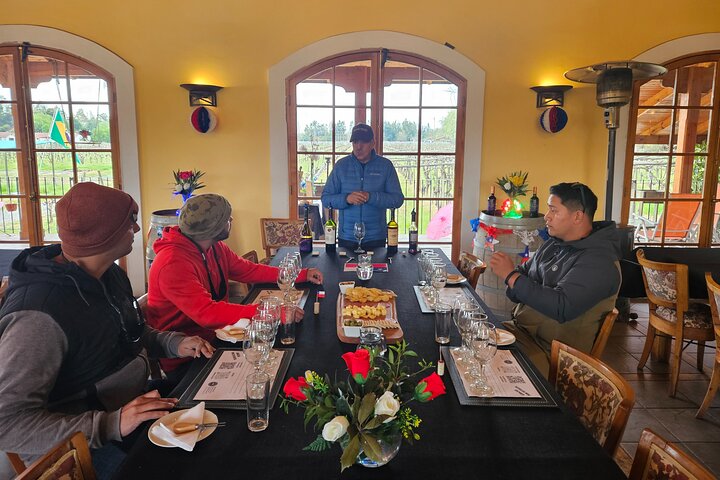 Private Maipo Valley Wine Experience: 2 Premium Wineries & Lunch
