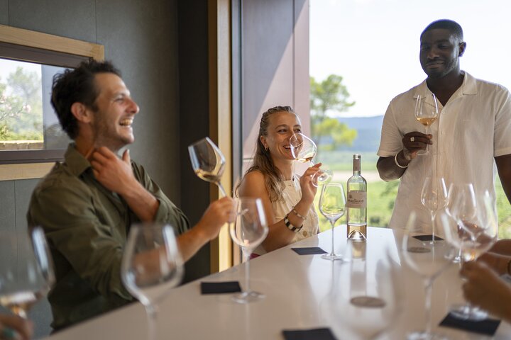 Provence Wine Tour - Small Group Tour from Nice