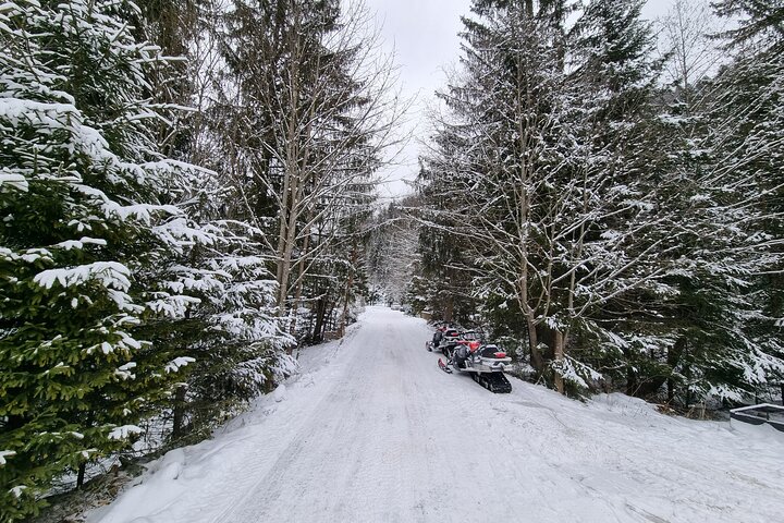 Day Tour from Bucharest-Carpathian Snowmobile Experience