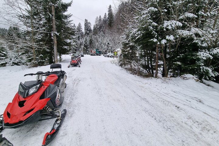 Day Tour from Bucharest-Carpathian Snowmobile Experience
